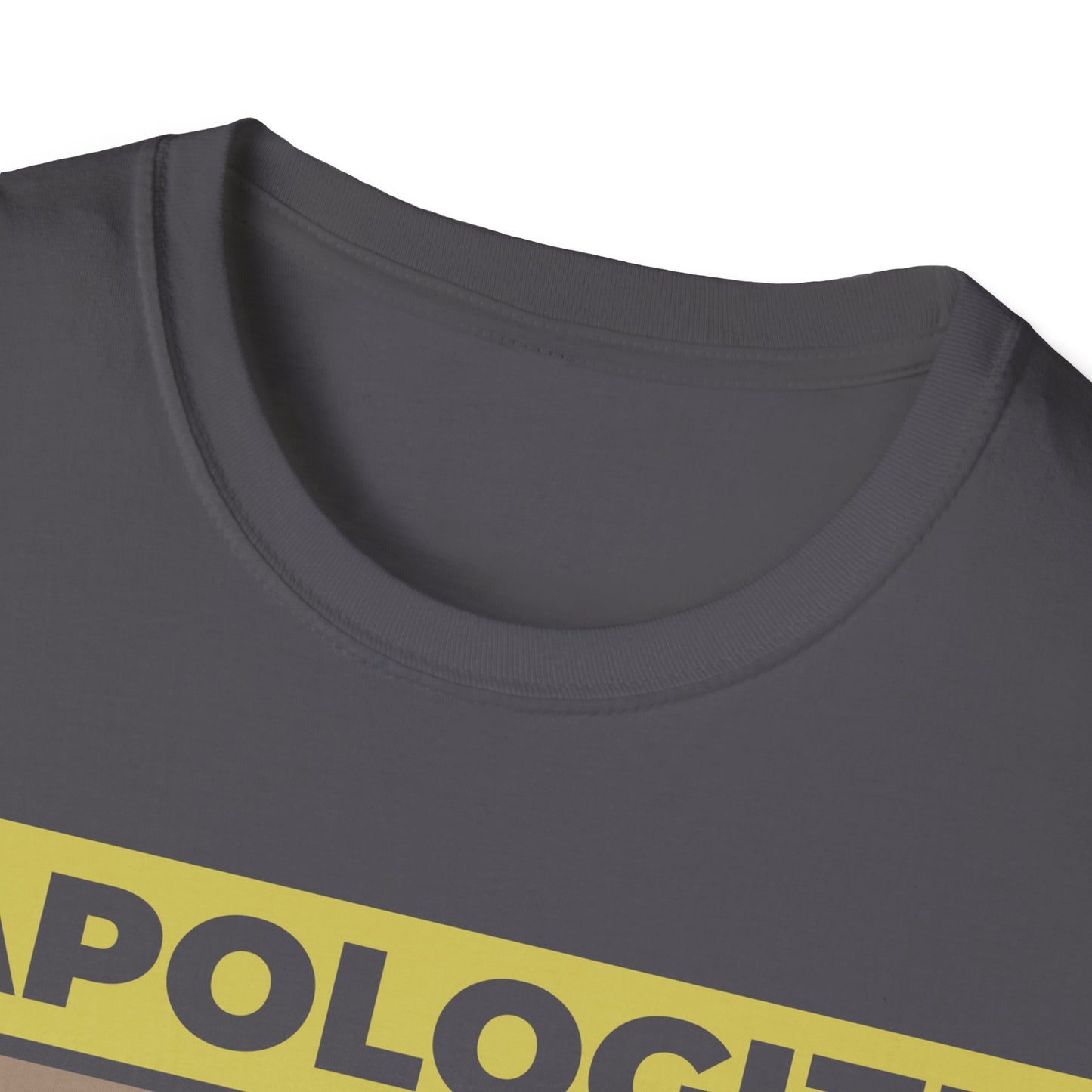 I Apologize for This Shirt. Absurd Humor Statement Tee